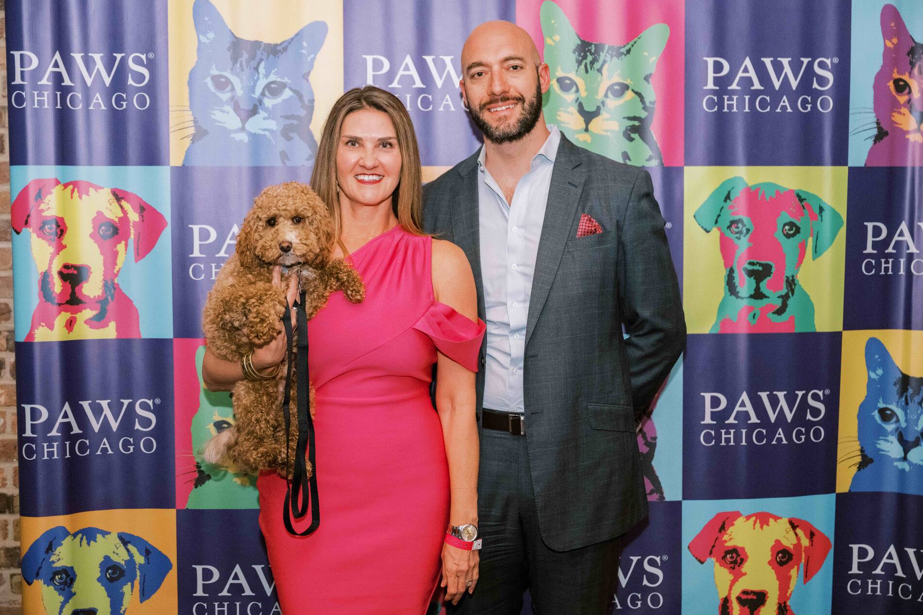 PAWS Chicago's 18th Annual Animal Magnetism Gala Success