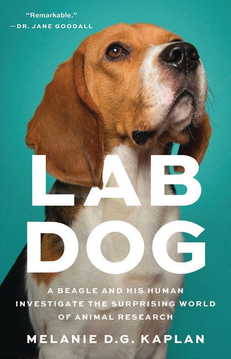 Melanie D.G. Kaplan's new book, Lab Dog. PHOTO COURTESY OF SEAL PRESS