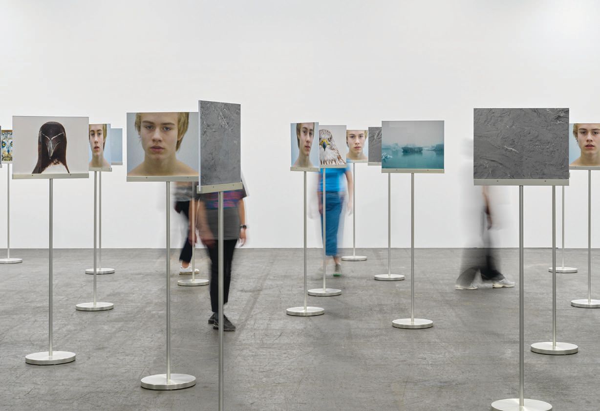 Roni Horn's Water Art Exhibition at MCA Denver