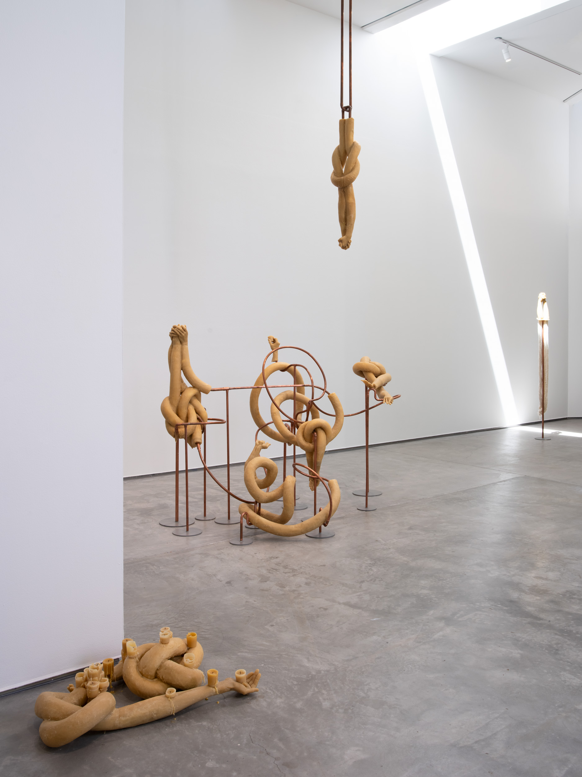 5 Inspiring San Diego Art Exhibits This Winter