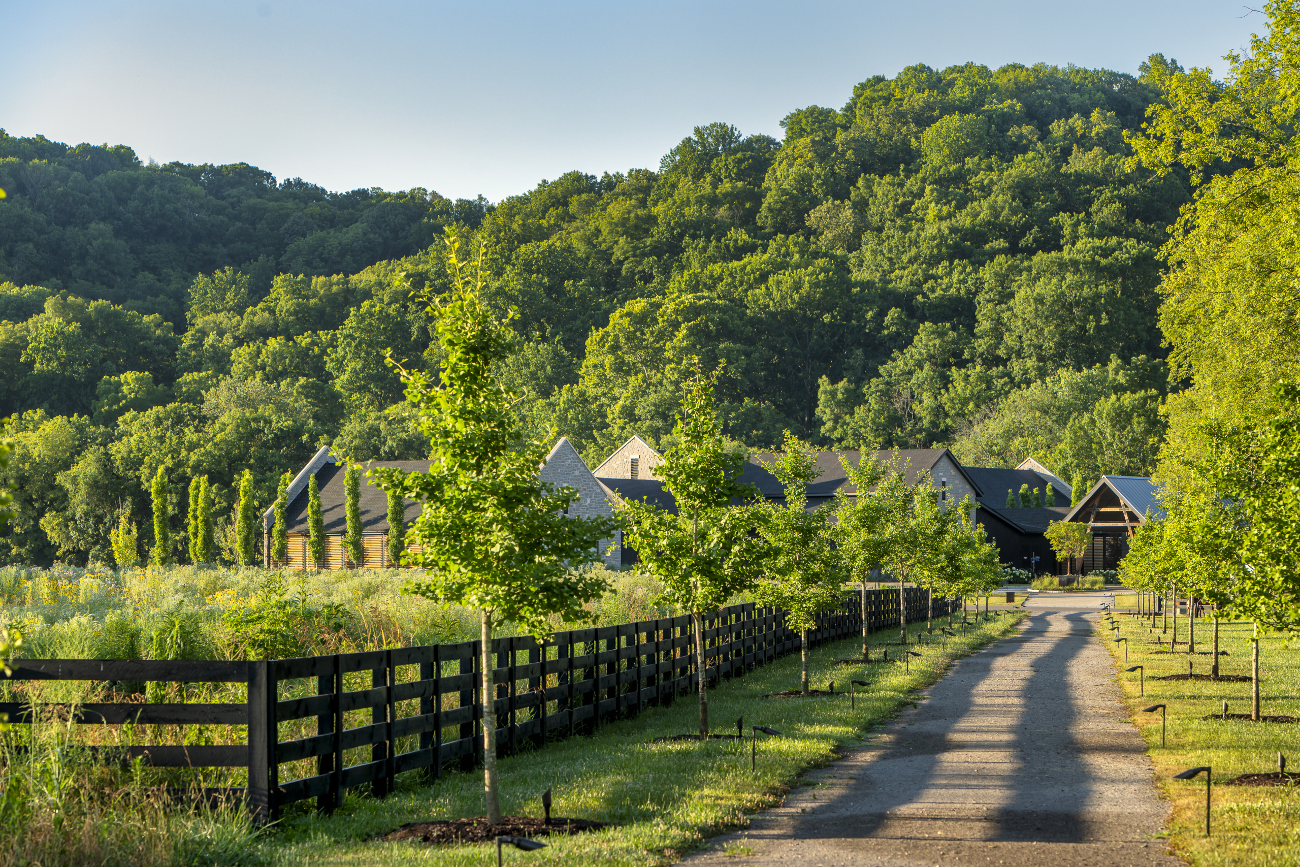 Chef Sean Brock’s Joyland Opens at Southall Farm & Inn