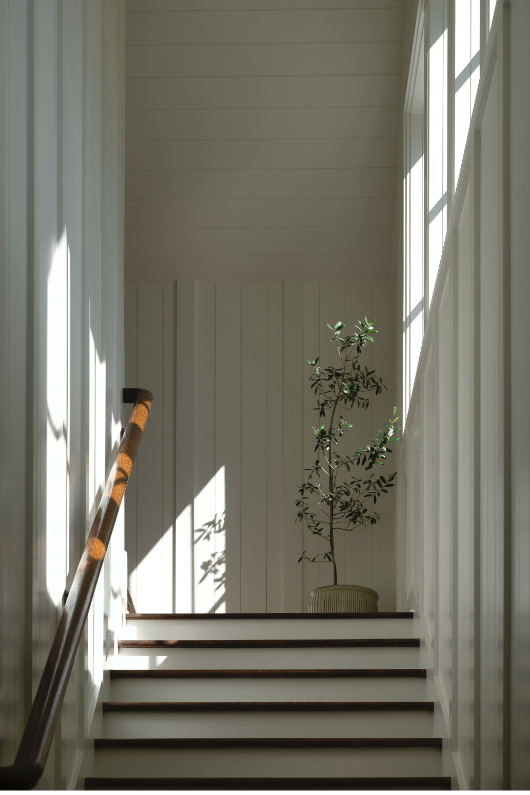 Light-Used-with-Intention