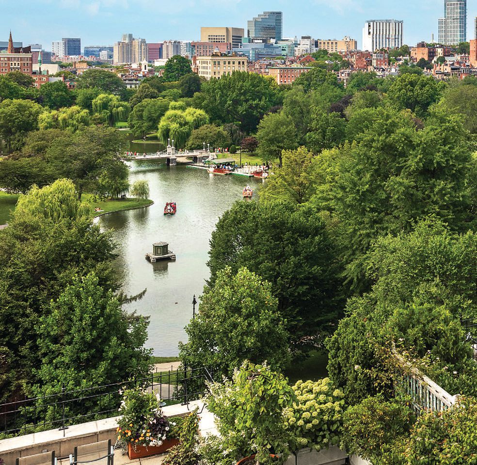 The residence is beautifully appointed and perfectly set on the Public Garden pond, with a large terrace on the park that adds additional outdoor living and dining areas. MAINE STREET MEDIA