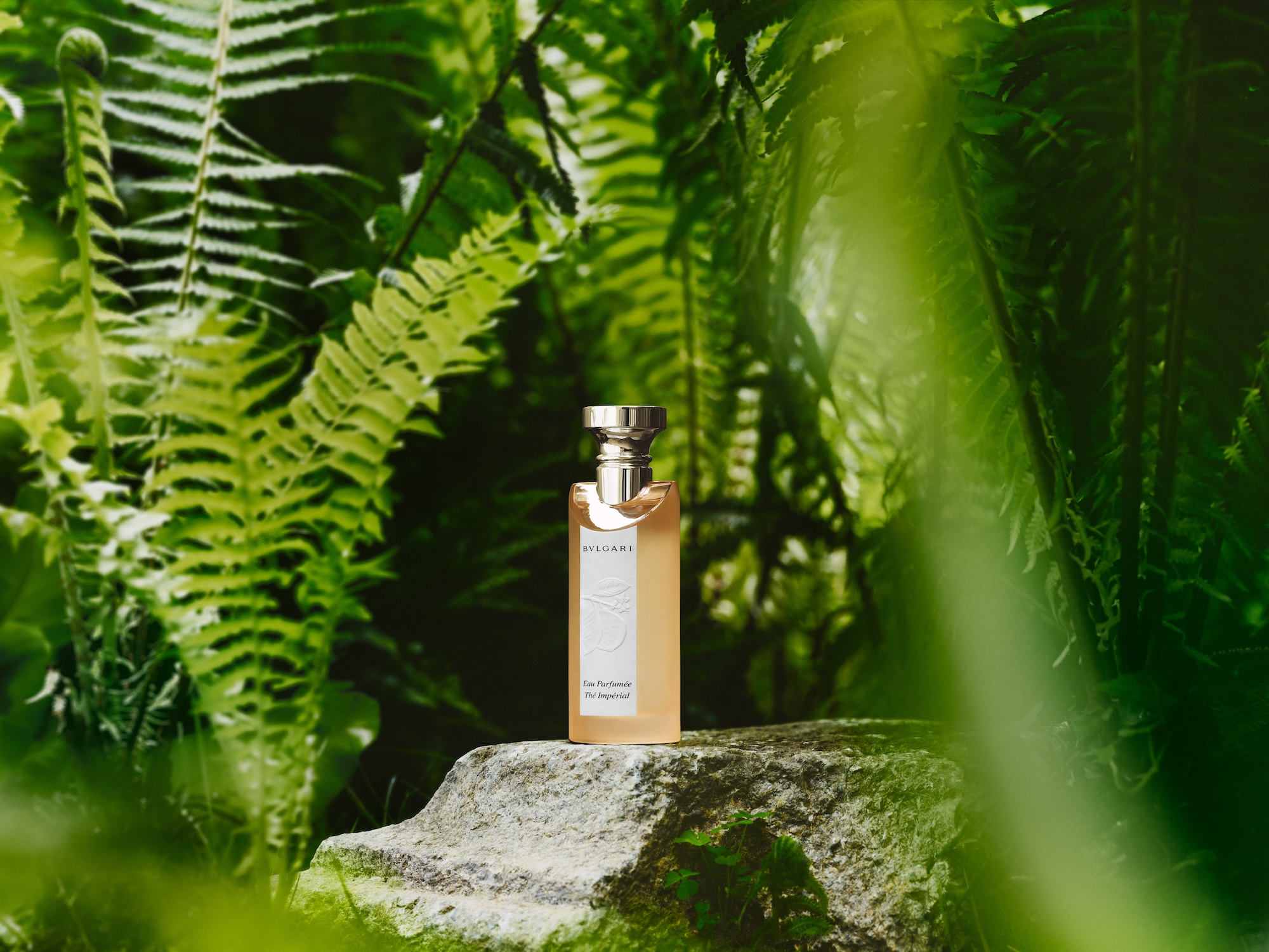 Bvlgari Eau Parfumée Thé Impérial: From Hotel Signature to Global