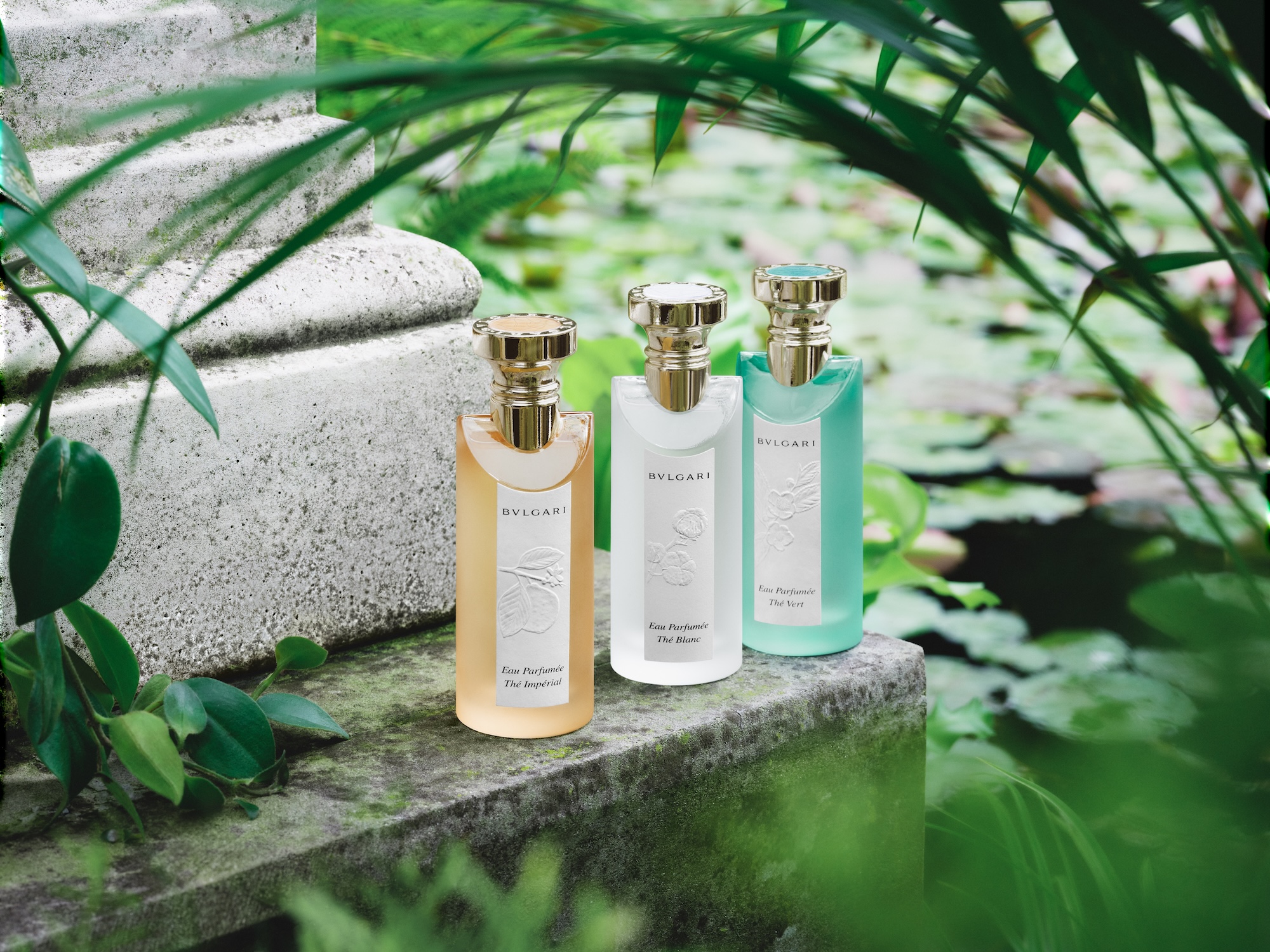 Bvlgari Eau Parfumée Thé Impérial: From Hotel Signature to Global