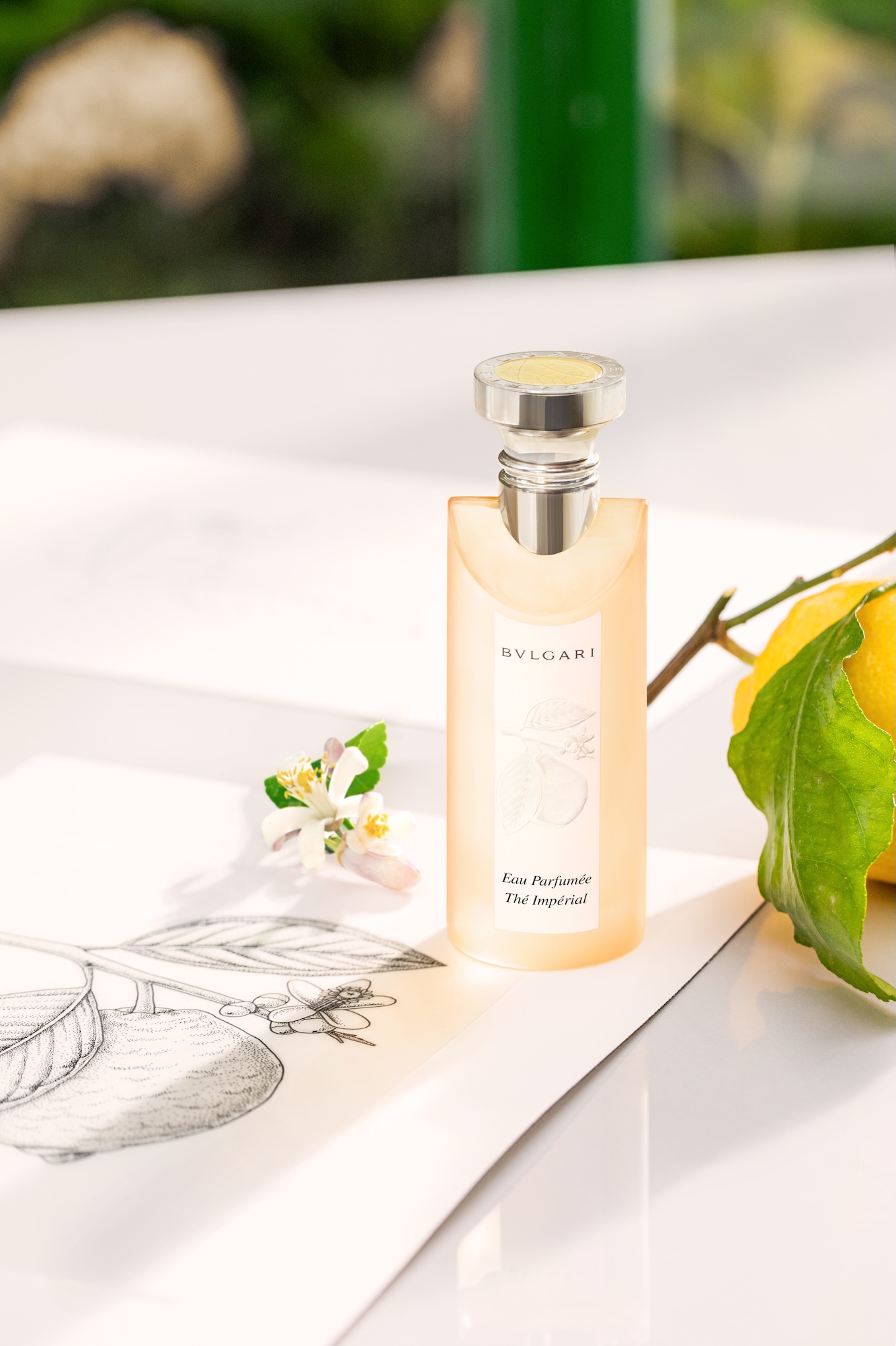 Bvlgari Eau Parfumée Thé Impérial: From Hotel Signature to Global