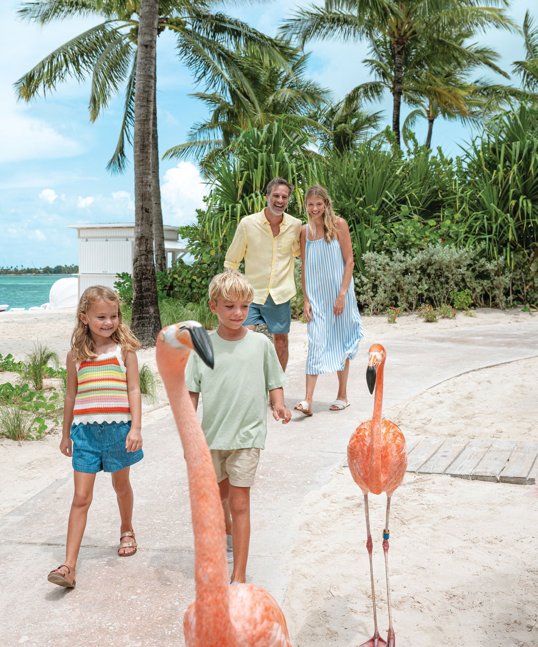 Baha Mar offers countless activities for families, from a massive water park to communing with the resident flamingos. PHOTO COURTESY OF BRAND