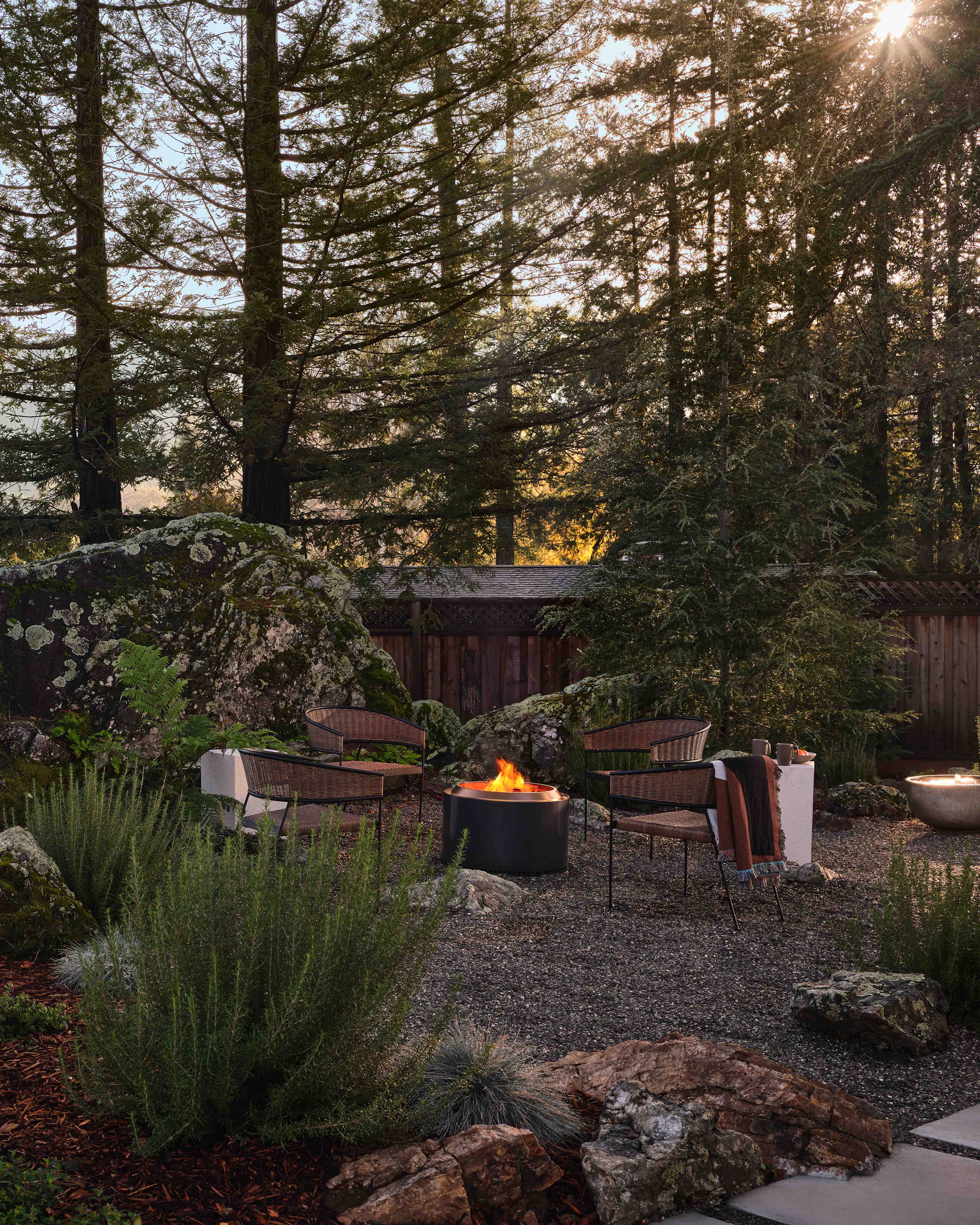 Midcentury Home Renovation in Marin County by Form + Field