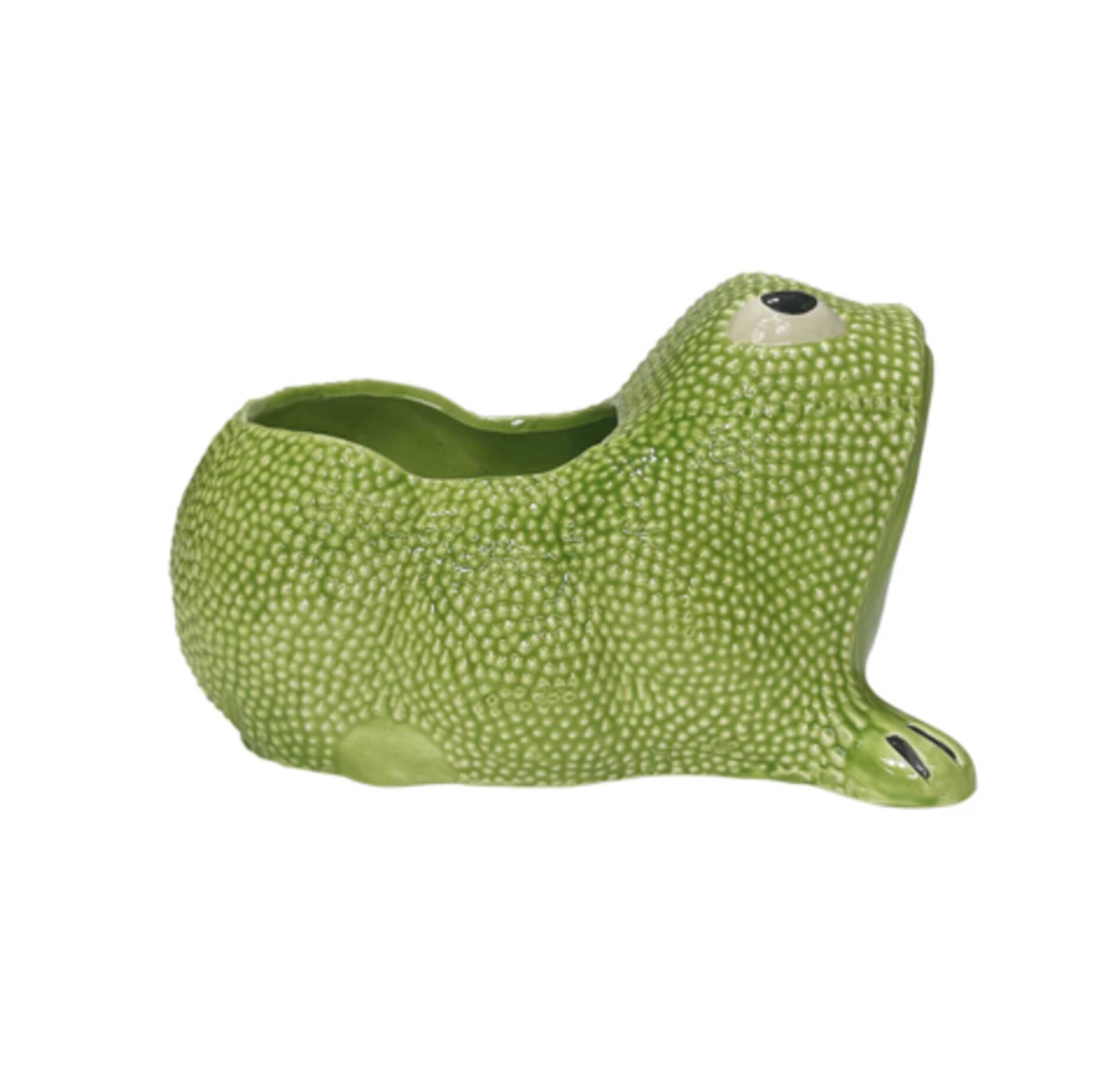 Frog_Planter_