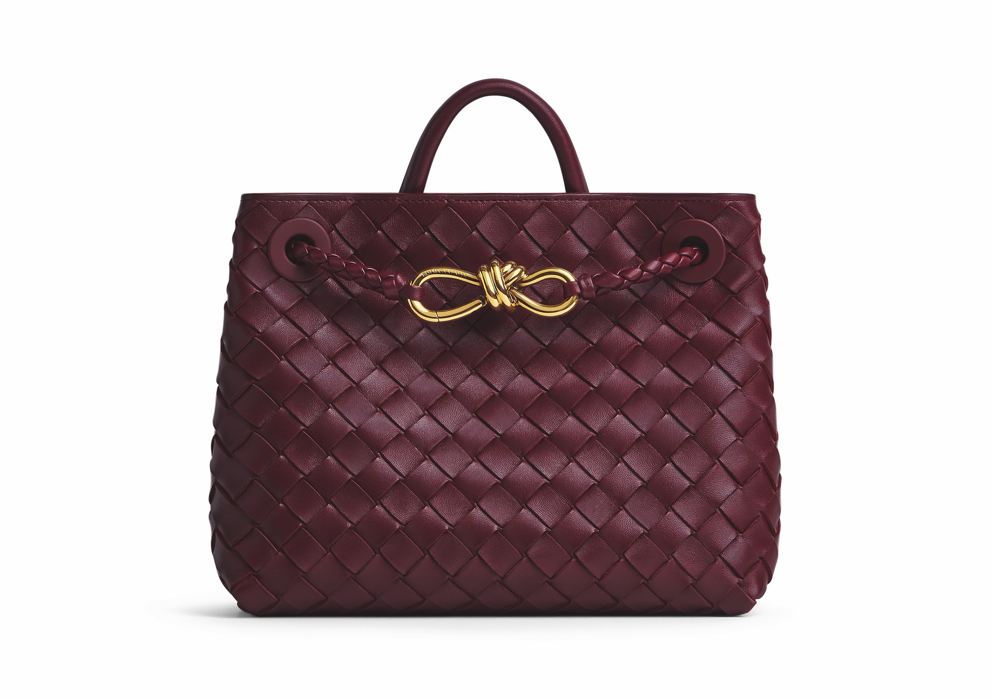 Bottega Veneta Andiamo handbag in deep mahogany