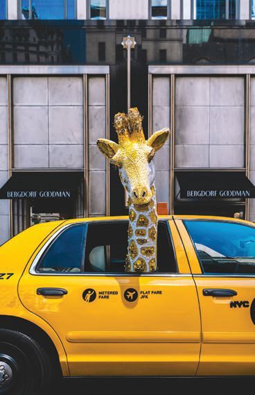 Nick Mele Unveils New Photography Exhibition at Bergdorf Goodman in New ...